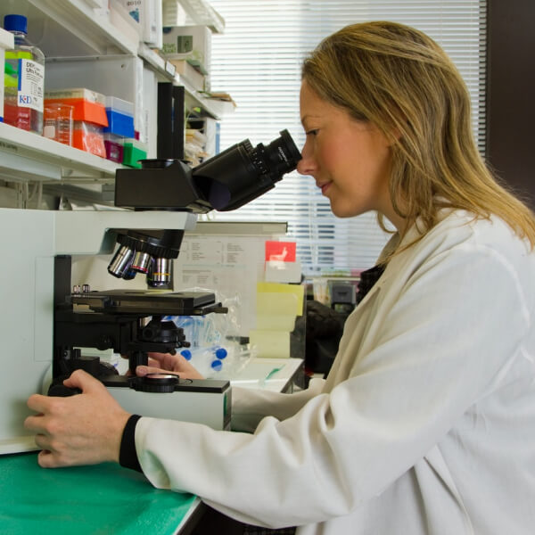 pharma company template research